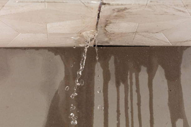 Professional Water Damage Repair technician working in Irene, TX